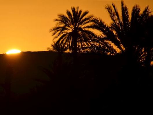 Puesta de sol entre palmeras - Vacaciones en Marruecos