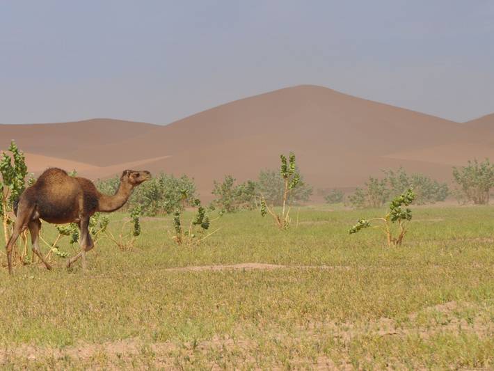 Descubrid los Ergs de Marruecos