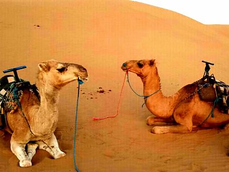 3 days / 2 nights - Altas and Merzouga