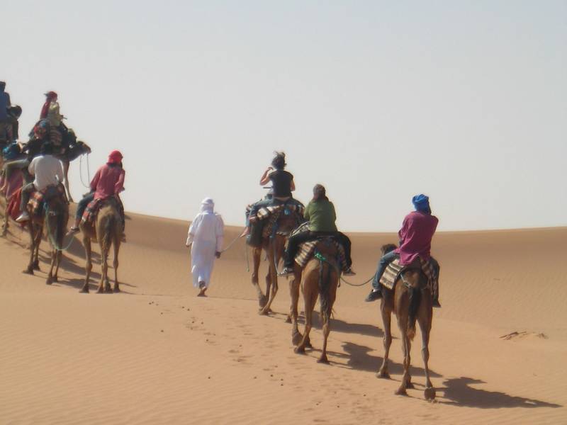 Passejant amb dromedari a les dunes de Chigaga