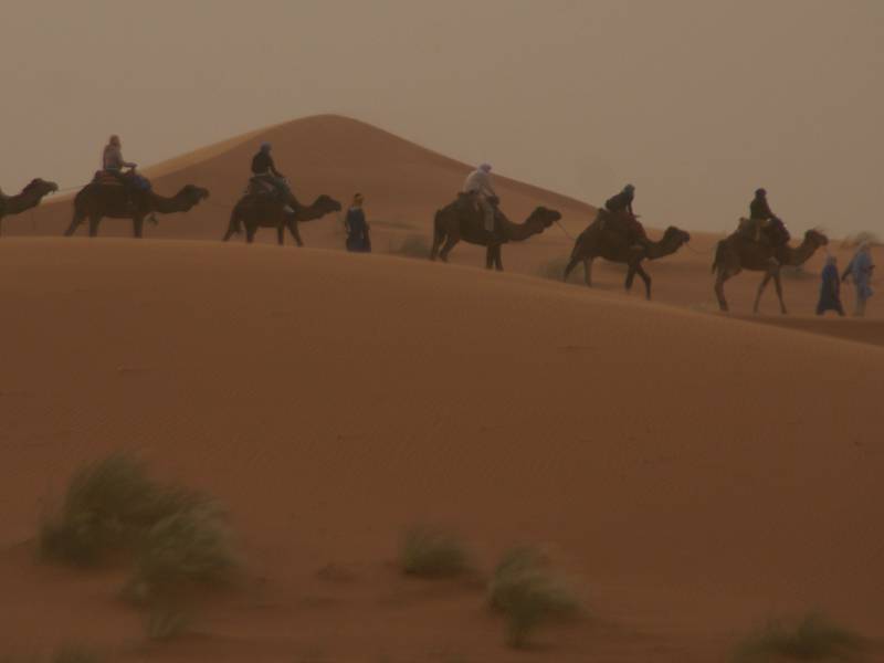 Passeig a Merzouga