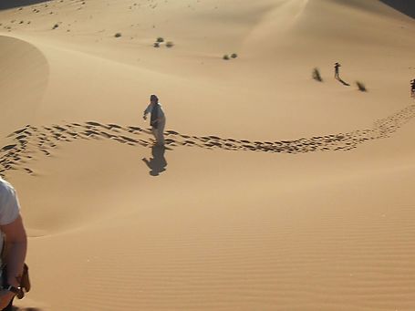Traveler walking through the Erg Chegaga dunes at sunset