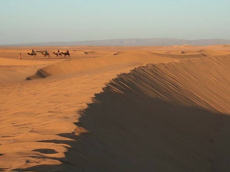 Dromedary ride through the desert dunes, Morocco.