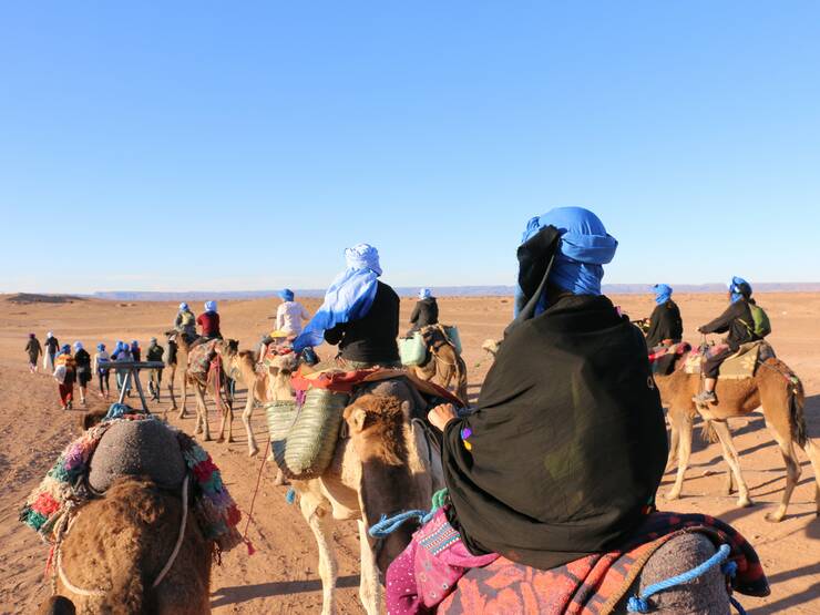 Dromedary ride through the dunes.