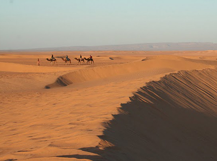 Trips to the Morocco desert